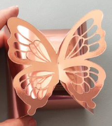 Butterfly Gift Box