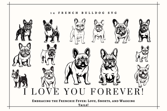 Black & White French Bulldogs