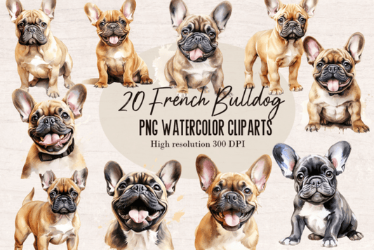 20 Frenchie Watercolor