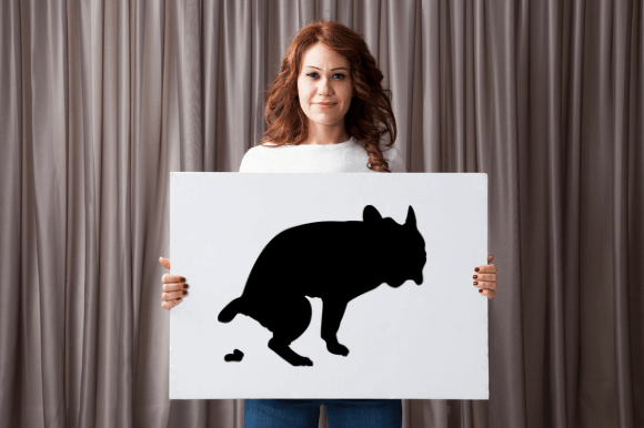 Poopin French Bulldog