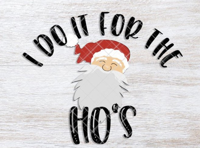 I Do It For the Hos