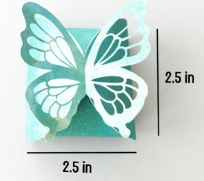 Butterfly Gift Box