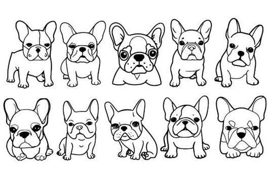 French Bulldog Line Art