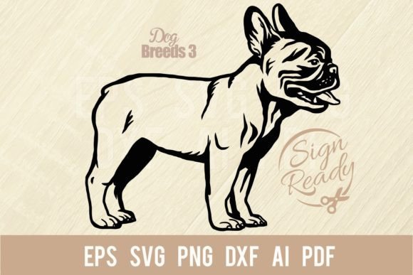 Side View French Bulldog