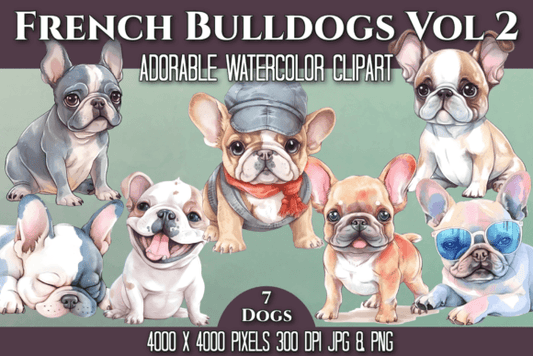 Multiple French Bulldogs