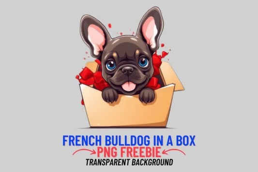 Frenchie In A Box