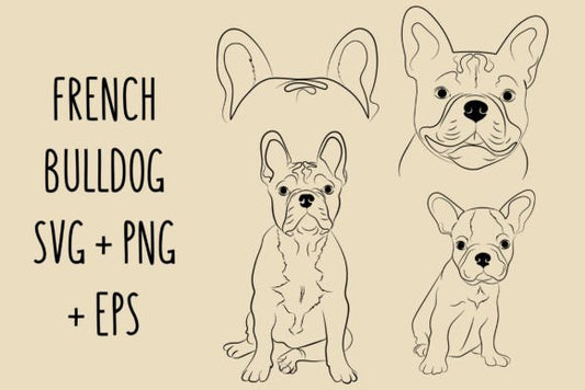 Frenchie Line Art