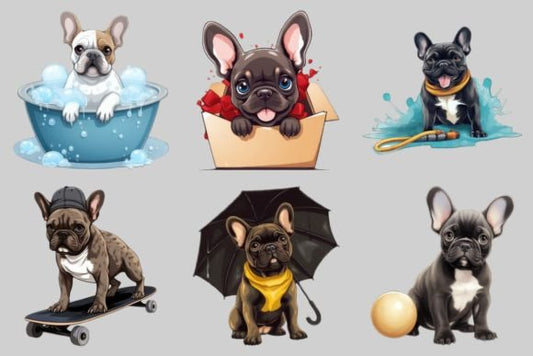 Cute French Bulldogs