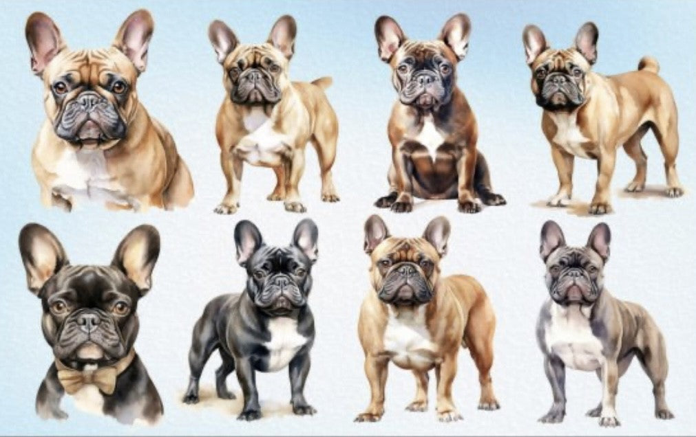 French Bulldog Watercolors