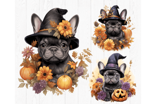 Frenchie Pumpkin Witch
